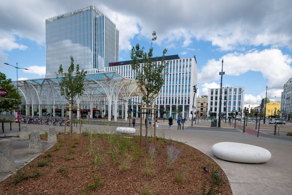 Przy Stajni Jednorożców w Łodzi robi się zielono! Widać już efekty odbetonowania