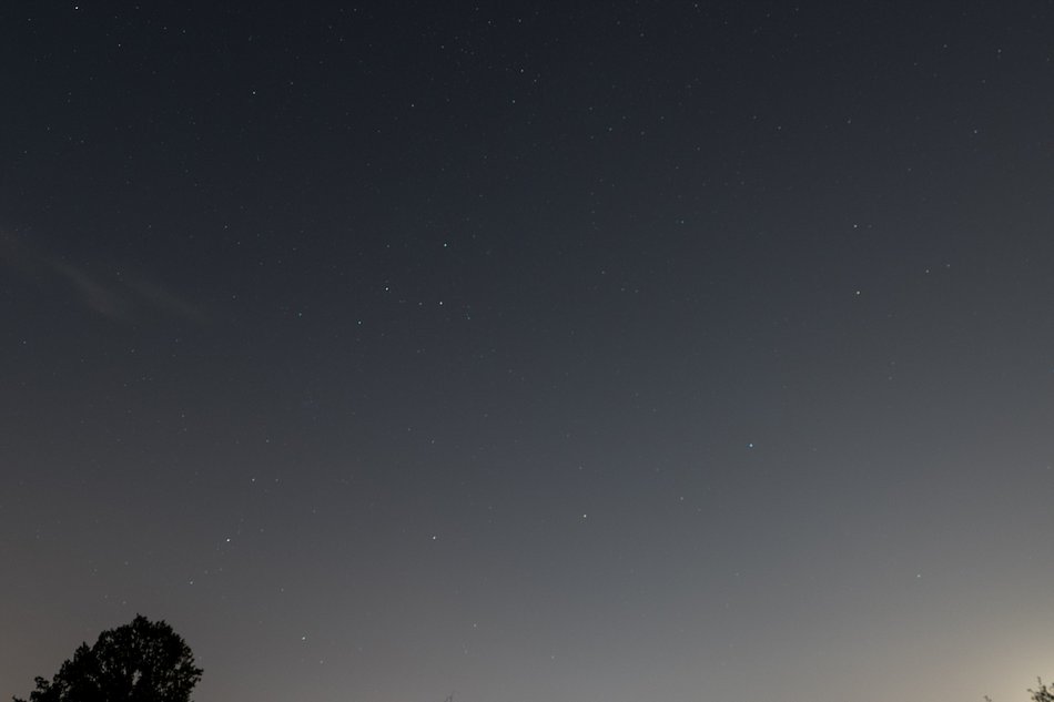 Łódź. Co to był za wieczór! Noc spadających gwiazd w Ogrodzie Botanicznym w Łodzi