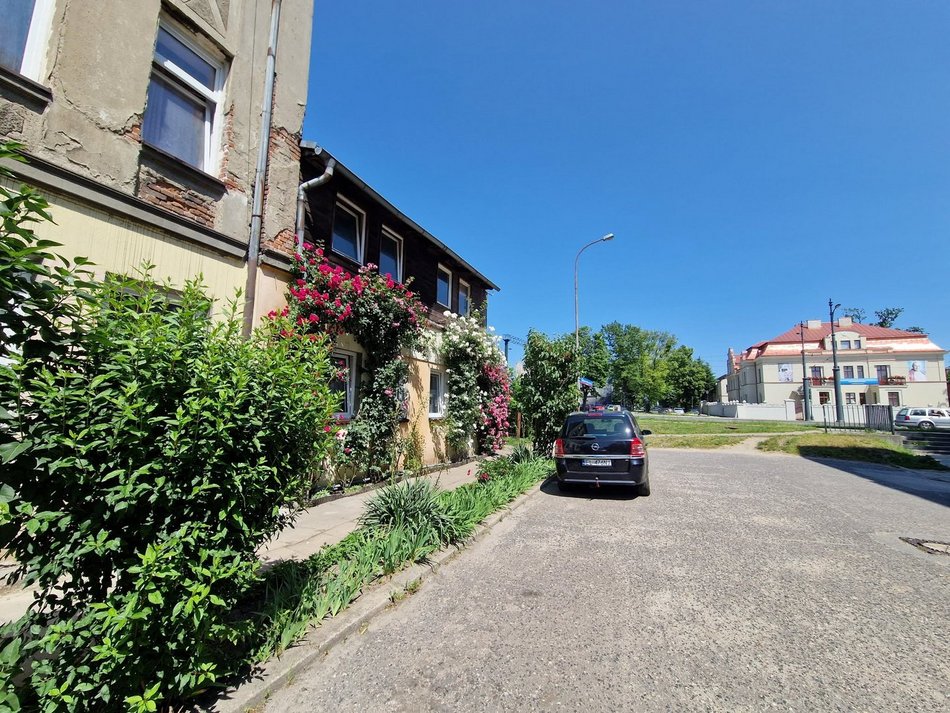 Najbardziej ukwiecony domek w Łodzi? Róże pokrywają niemal całą elewację