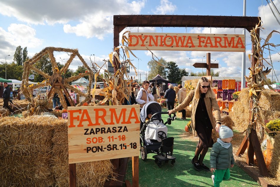 Farma Dyniowa w Pasażu Łódzkim