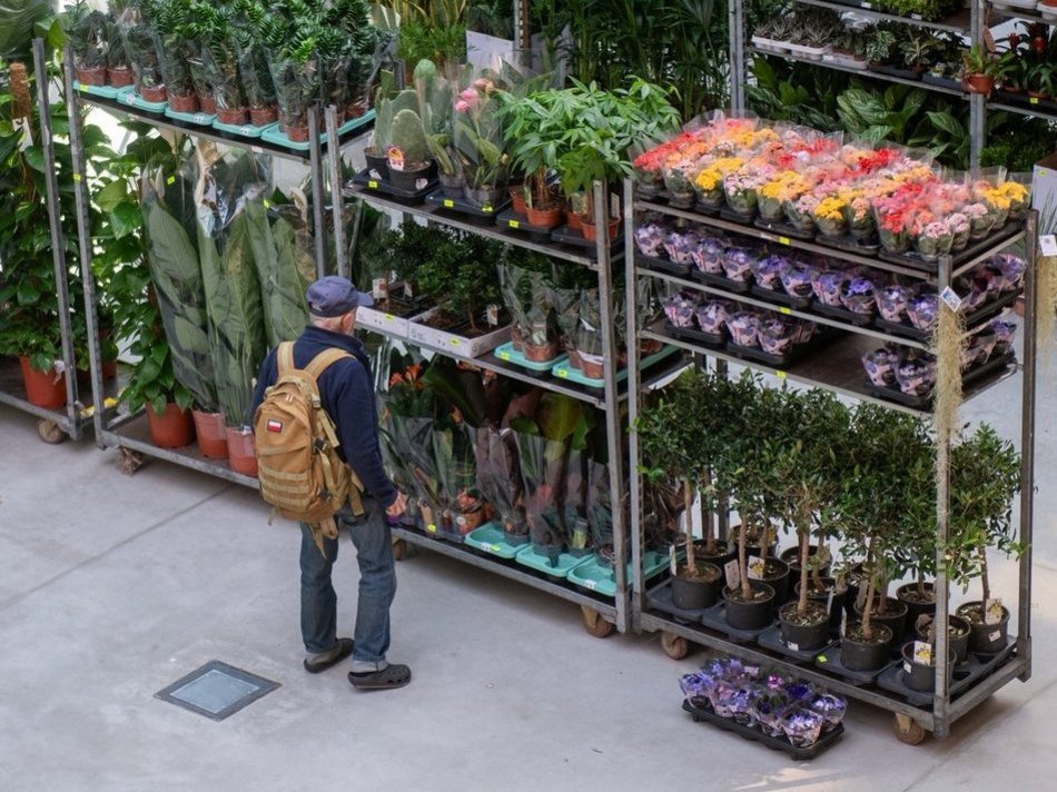 Łódź. Targi roślin