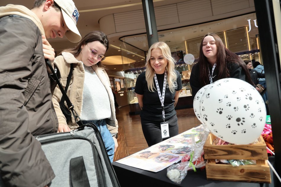 Łódź. Psi Targ w Manufakturze w Łodzi. Każdy miłośnik czworonogów znajdzie tu coś dla siebie