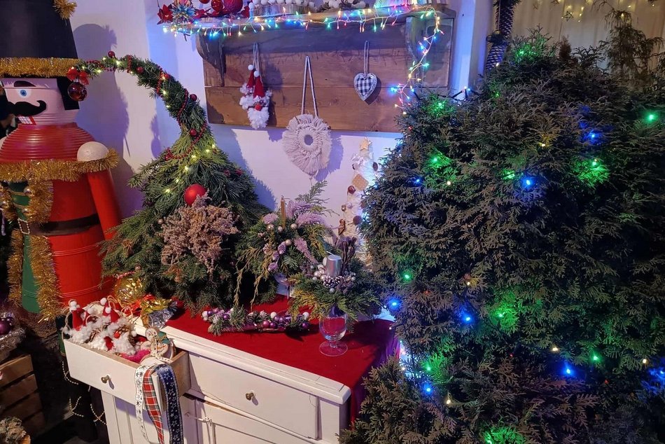 Łódź. Magia Świąt w Ogrodzie Botanicznym w Łodzi. Wystawa, warsztaty i kiermasz