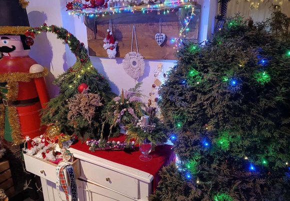 Łódź. Magia Świąt w Ogrodzie Botanicznym w Łodzi. Wystawa, warsztaty i kiermasz