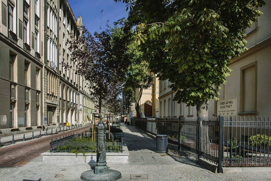 Łódź. Woonerf przy ul. Piramowicza w Łodzi