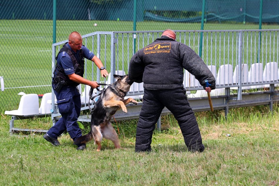 Piknik rodzinny "Bezpieczne wakacje z mundurem" pod Atlas Areną