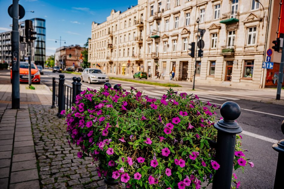 Łódź. Wrzesień w Łodzi potrafi zaskoczyć! Miasto wciąż tętni kolorami i zapachem kwiatów