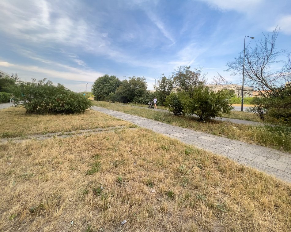 Zieleniec przy ul. Hetmańskiej