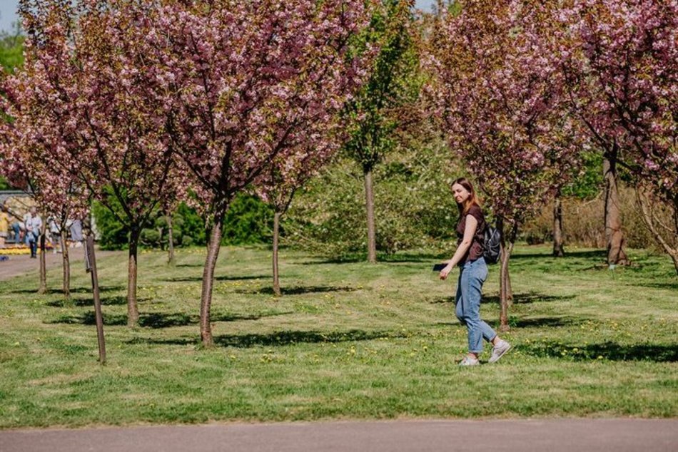 Łódź. Ogród Botaniczny w Łodzi w wiosennej odsłonie