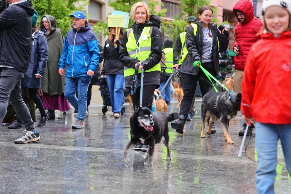 Parada kundelków w Łodzi 2025 przeszła ulicami. Skala słodyczy wysoka jak nigdy!