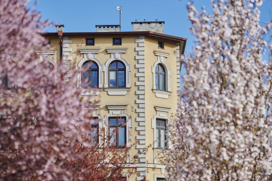 Łódź. Zobacz, jak skwer przy Kilińskiego i Rewolucji w Łodzi mieni się wszystkimi kolorami wiosny