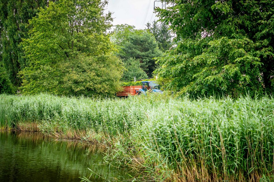 Łódź. Staw przy Przędzalnianej w Łodzi w trakcie czyszczenia. Tam będzie jeszcze piękniej!