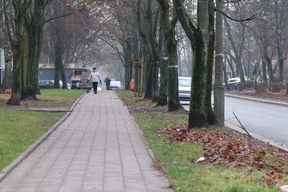 Remont Szczecińskiej i Wici w Łodzi