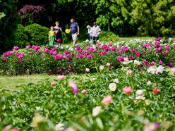 Decyduj o losach Ogrodu Botanicznego w Łodzi. Przyjdź na spotkania, warsztaty i spacery badawcze