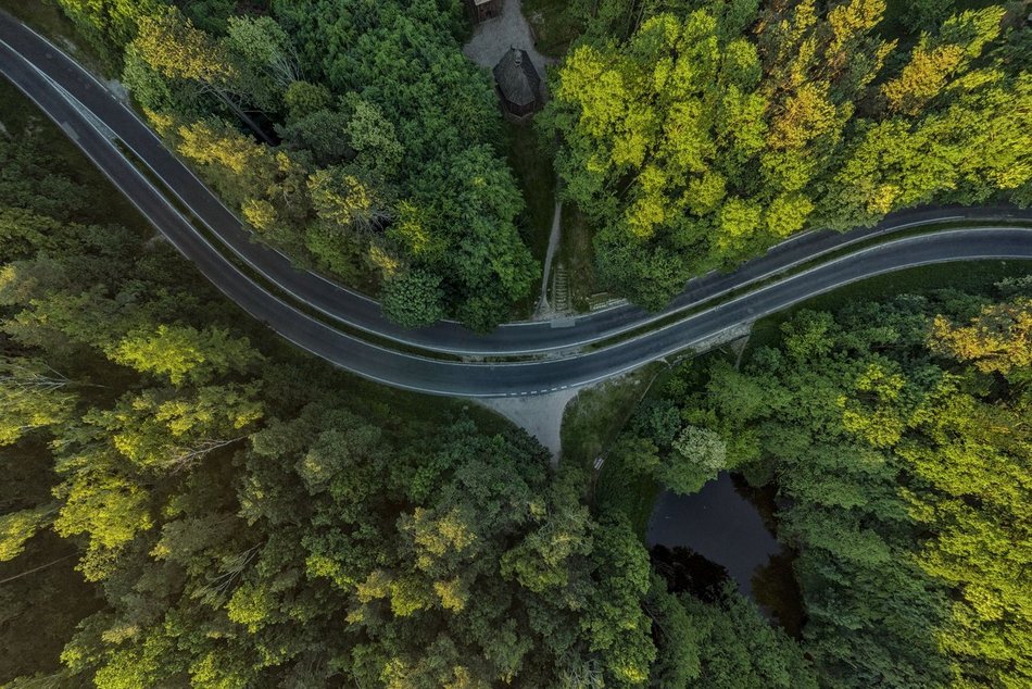 Ciekawostki o Łodzi z życia wzięte