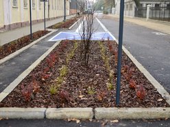 Ulica Skorupki po remoncie