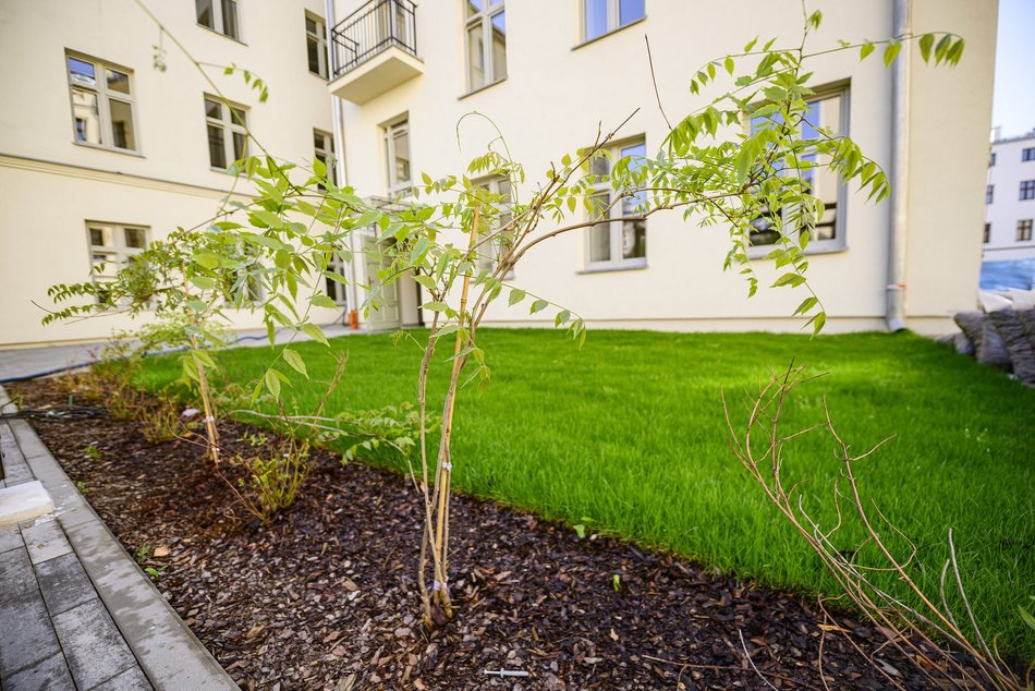 Zielone podwórka w kamienicach przy Rewolucji w Łodzi. Perełki ukryte w centrum miasta!