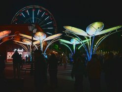 Light Move Festival 2025 Łódź rozpoczęty! Zobacz gigantyczne kwiaty w Manufakturze