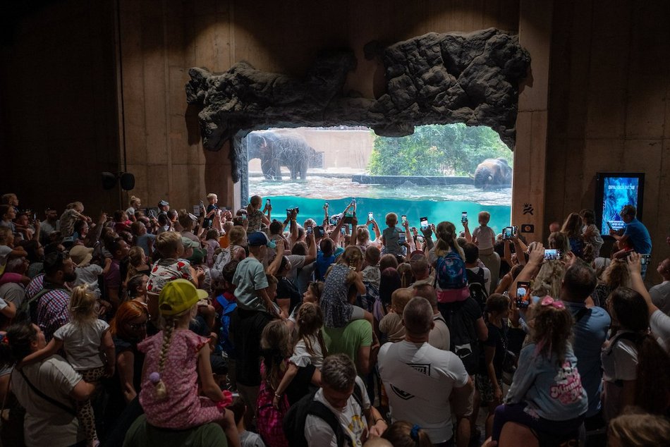 Łódź. Rekordowe 5,1 mln osób odwiedziło Łódź w 2025 roku! To korzyści dla miasta i Łodzian!