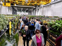 Łódź. Przyjdź na Festiwal Roślin w EC1 Łódź! Nowe gatunki, okazy kolekcjonerskie i więcej