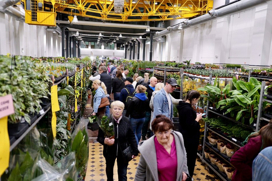 Łódź. Przyjdź na Festiwal Roślin w EC1 Łódź! Nowe gatunki, okazy kolekcjonerskie i więcej