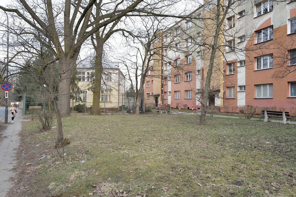 Łódź. Ulica Skrzywana w Łodzi będzie jeszcze zieleńsza! Nowy skwer w ramach Budżetu Obywatelskiego Łódź