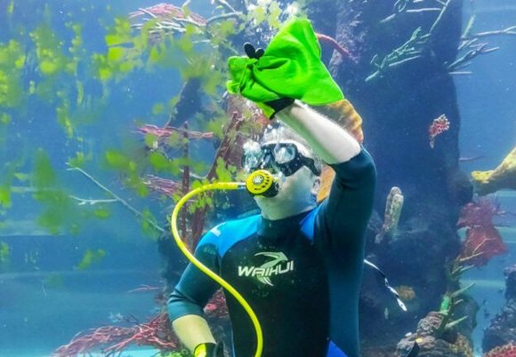 Łódź. Środy z nurkiem w Orientarium Zoo Łódź. Przyjdź i zobacz, na czym polega ta praca!