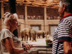Łódź. Darmowe wejście do Orientarium Zoo Łódź dla seniorów. Nawet trzy wizyty rocznie!