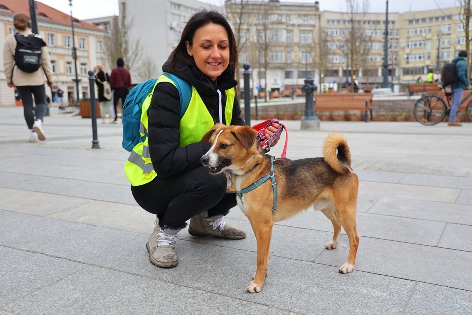 Łódź. Parada Kundelków przejdzie ulicami Łodzi. Merdające ogony przejmą Piotrkowską. Wpadnij ze swoim psem!