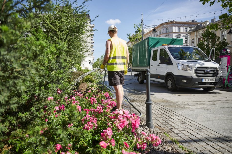 Łódź. Walka z suszą w Łodzi. Miasto intensywnie podlewa młodą zieleń