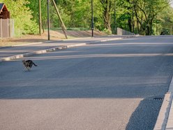 Remont Szczecińskiej zakończony! Otworzą wcześniej niż planowali