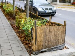 Łódź. Łódź chroni zieleń przed zimą! Pojawiły się już pierwsze osłony na rośliny