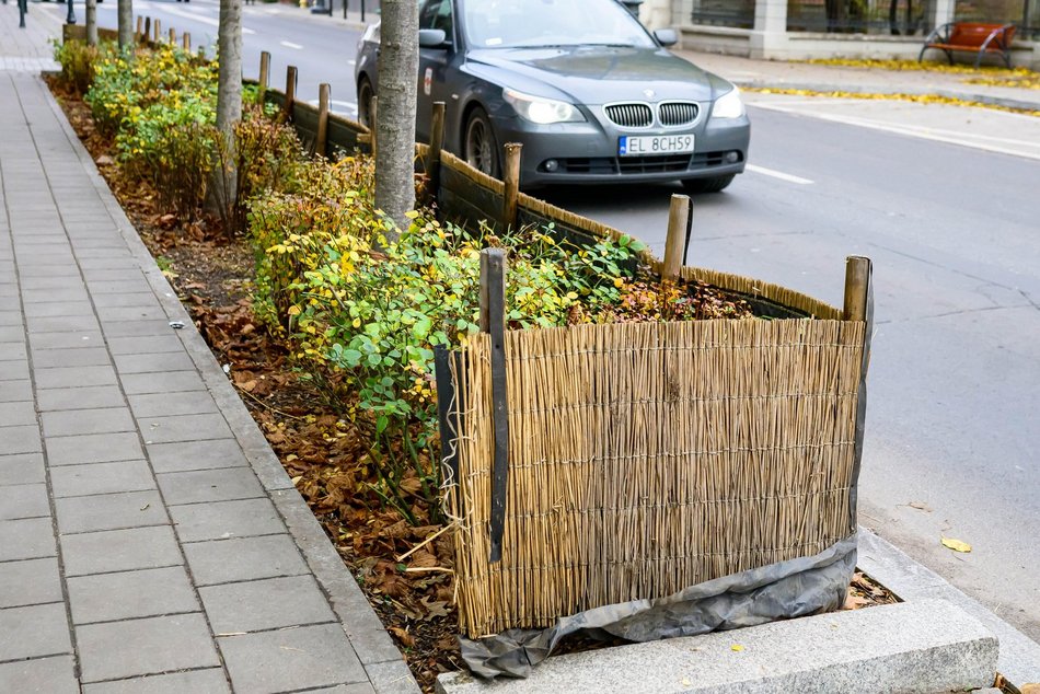 Łódź. Łódź chroni zieleń przed zimą! Pojawiły się już pierwsze osłony na rośliny