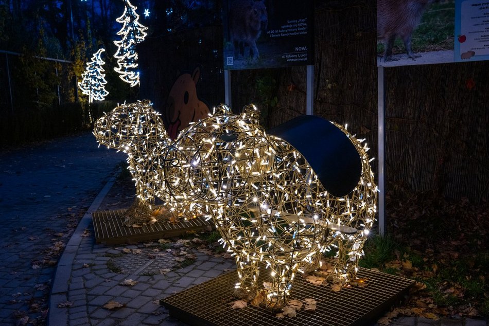 Park Miliona Świateł w Łodzi otwarty! Magiczne zwierzęta opanowały Orientarium Zoo Łódź