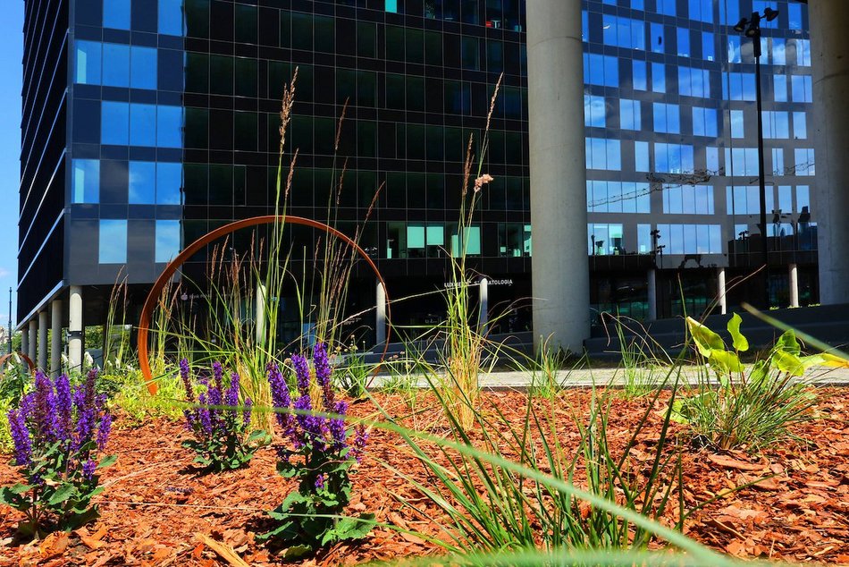 Łódź. Zieleń przy Bramie Miasta w Łodzi. Chwila oddechu w samym centrum