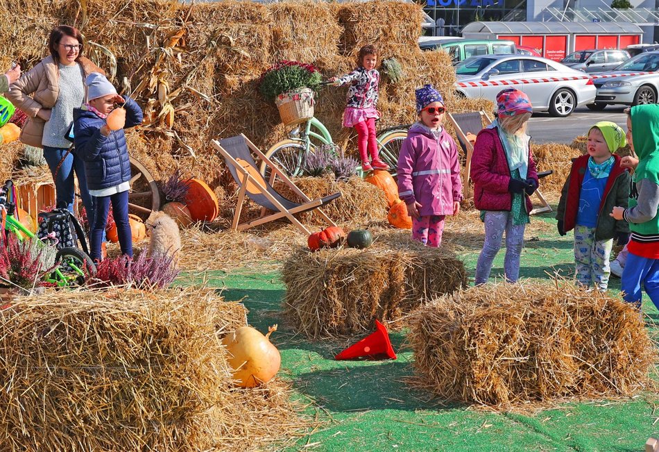 Farma Dyniowa w Pasażu Łódzkim