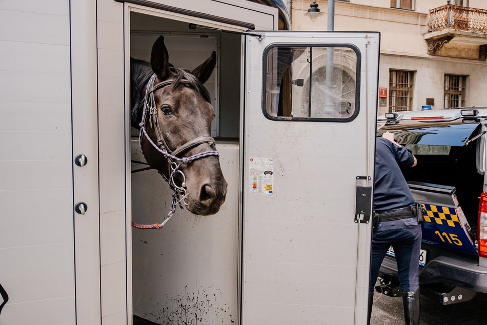 Nowy nabytek Straży Miejskiej w Łodzi. To specjalnie wyposażony wóz!