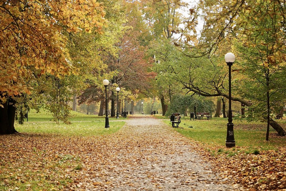 Łódź. Jesień w parku Źródliska w Łodzi. Nie wybrać się tam na spacer to grzech!