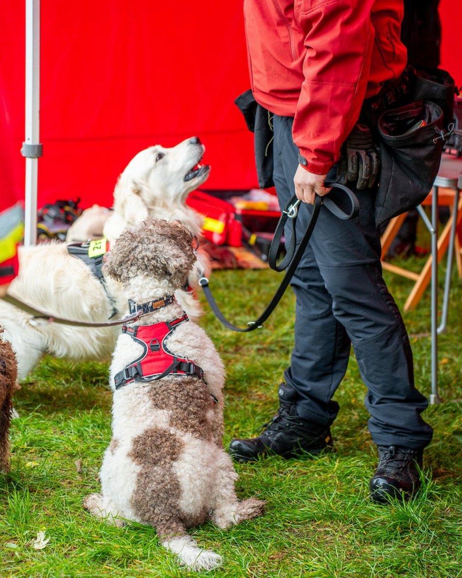 Łódź. Deszcz nikogo nie wystraszył! Piknik z Budżetem Obywatelskim Łódź