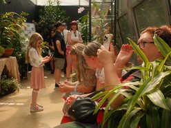 Łódź. Motyle z tropików na długi weekend. Kolorowa wystawa w Palmiarni