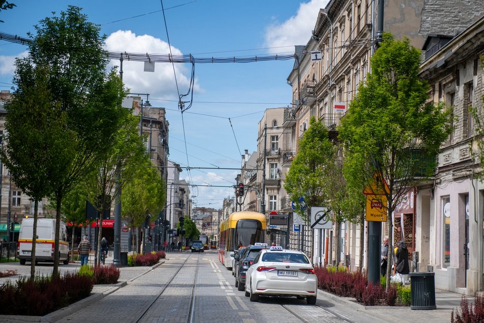 Łódź. Łódź weszła w lato na zielono! Tysiące nowych drzew, kwiaty i trawniki