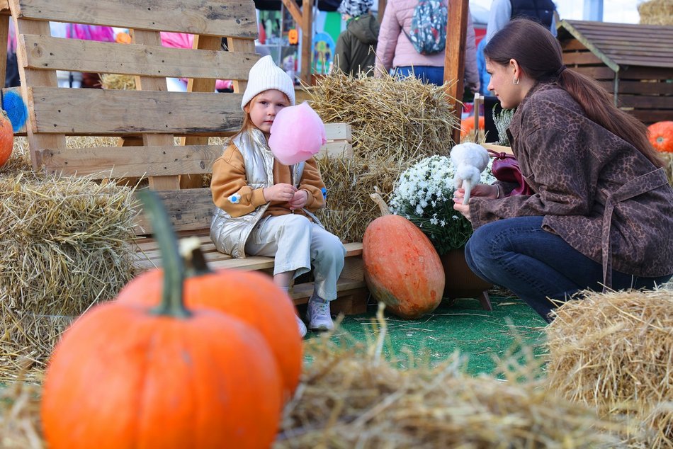 Farma Dyniowa w Pasażu Łódzkim
