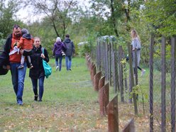 Przybędzie drzew w Lesie Młodej Łodzi. Zgłoś się i posadź drzewo na pamiątkę narodzin swojego dziecka
