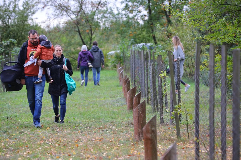 Przybędzie drzew w Lesie Młodej Łodzi. Zgłoś się i posadź drzewo na pamiątkę narodzin swojego dziecka