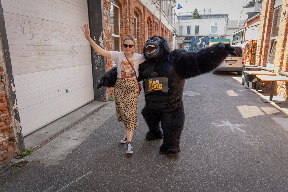 Łódź. Gastro dla schroniska w Łodzi. Tak się łączy miłość do jedzenia, muzyki i zwierząt!