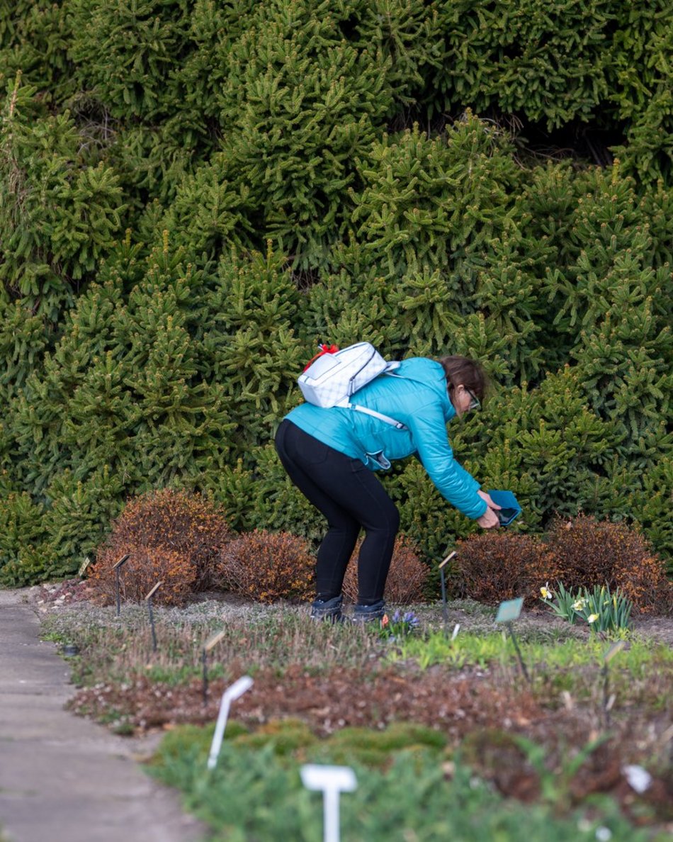 Wiosenny Ogród Botaniczny w Łodzi. Spacer wśród budzącej się do życia przyrody