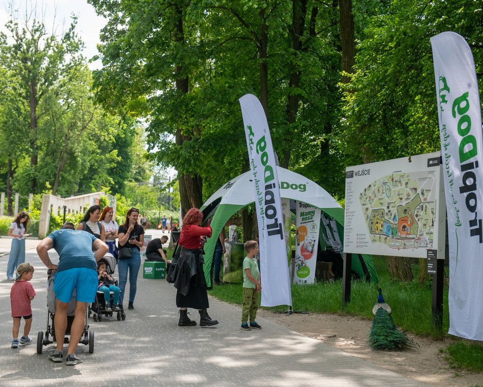 Łódź. Dzień Dziecka w Orientarium Zoo Łódź. Tylu atrakcji tam jeszcze nie było!