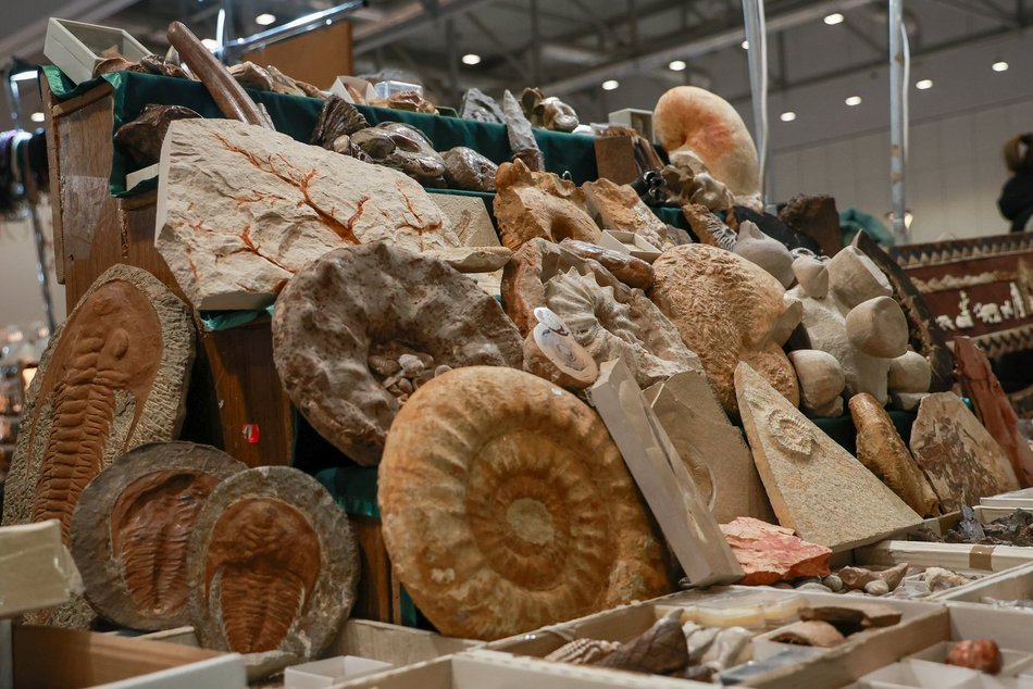 Łodzianie na Targach Minerałów i Biżuterii w hali Expo w Łodzi. Jeszcze zdążysz!