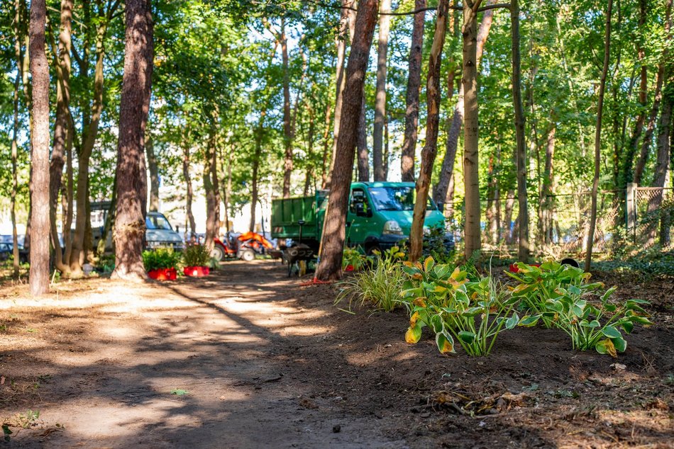 Będzie nowy skwer przy ulicy Zuchów w Łodzi. Zapomniany teren odżyje!