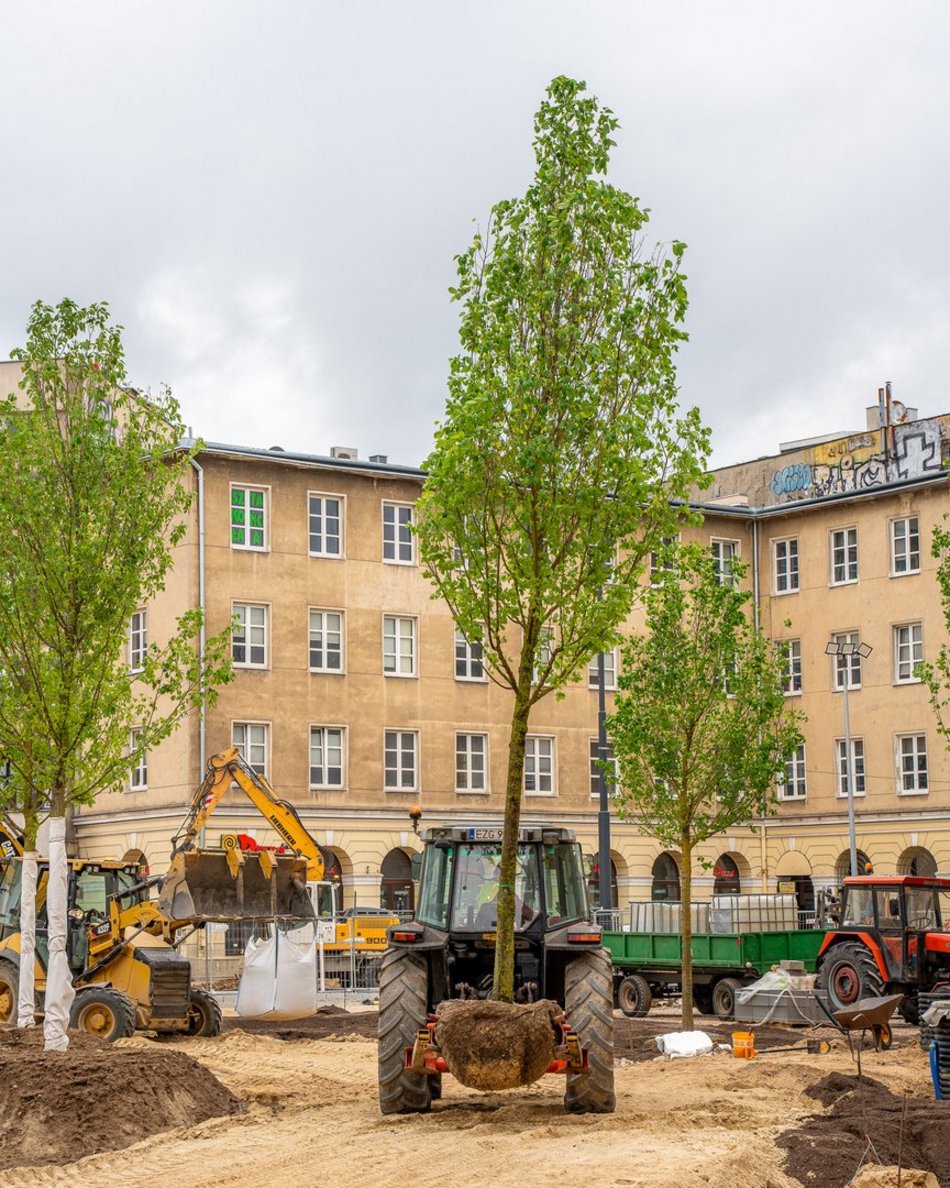 Plac Wolności - sadzenie drzew, plac budowy